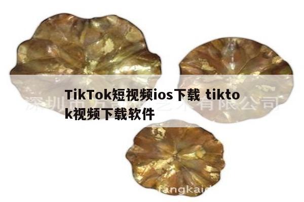 TikTok短视频ios下载 tiktok视频下载软件