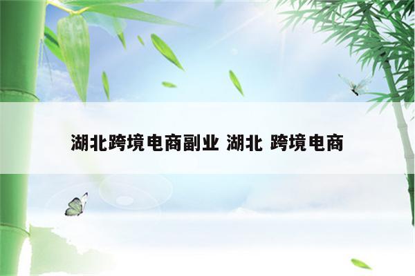 湖北跨境电商副业 湖北 跨境电商