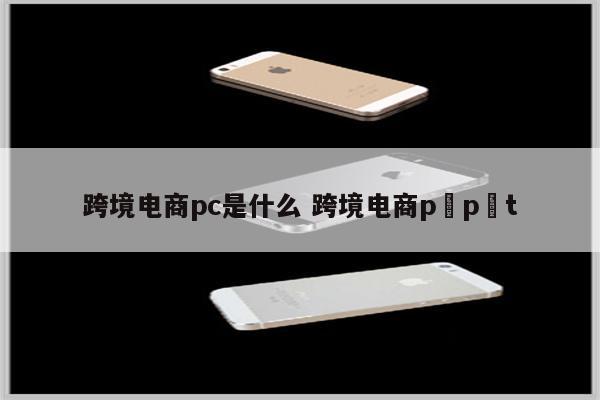 跨境电商pc是什么 跨境电商p p t