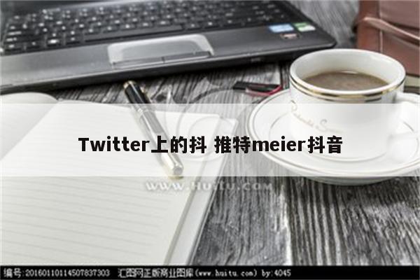 Twitter上的抖 推特meier抖音