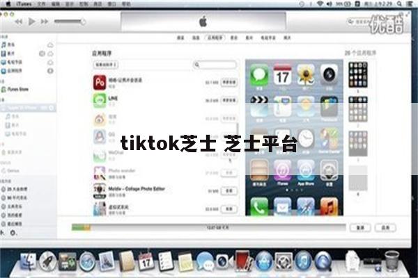 tiktok芝士 芝士平台