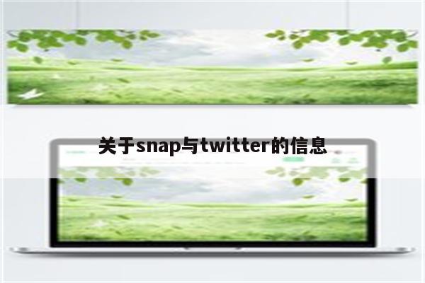 关于snap与twitter的信息