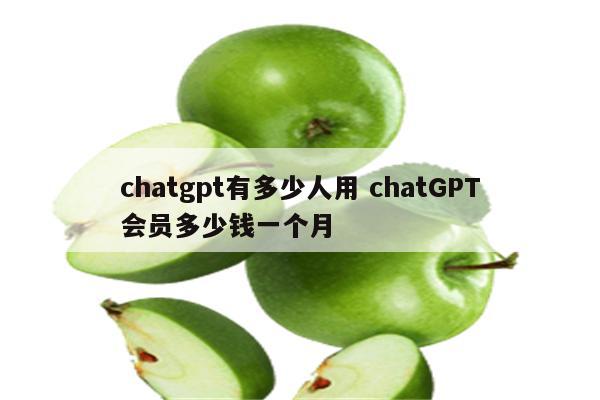 chatgpt有多少人用 chatGPT会员多少钱一个月