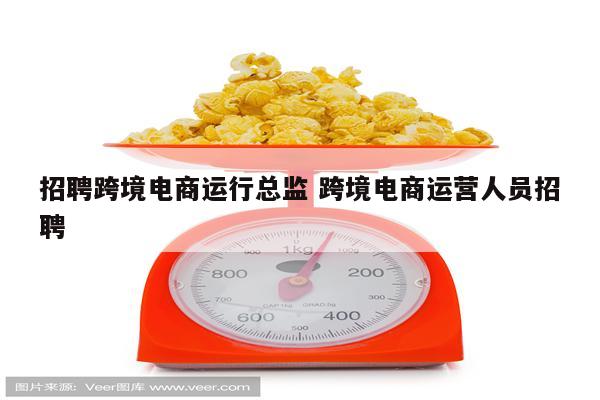招聘跨境电商运行总监 跨境电商运营人员招聘