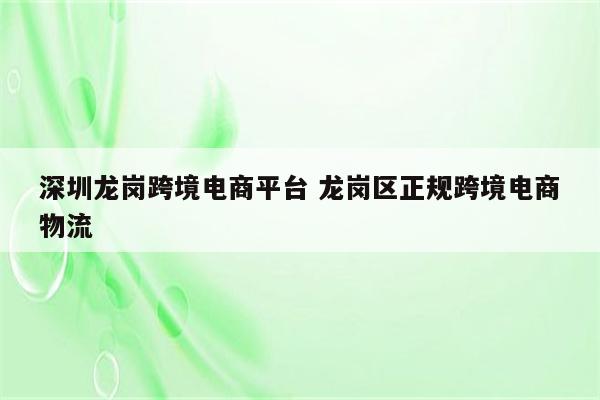 深圳龙岗跨境电商平台 龙岗区正规跨境电商物流