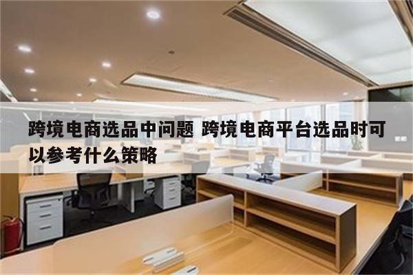 跨境电商选品中问题 跨境电商平台选品时可以参考什么策略