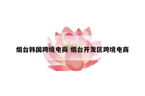 烟台韩国跨境电商 烟台开发区跨境电商