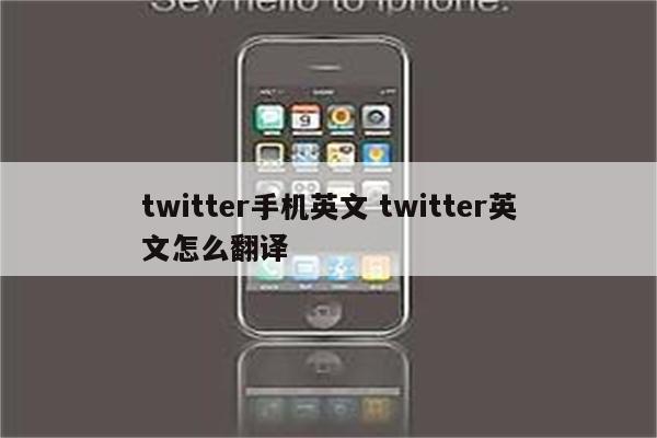twitter手机英文 twitter英文怎么翻译