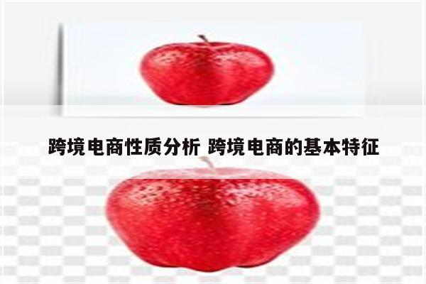 跨境电商性质分析 跨境电商的基本特征