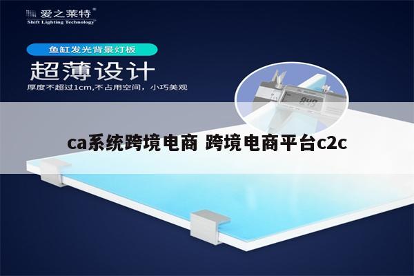 ca系统跨境电商 跨境电商平台c2c
