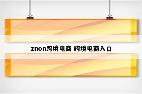 znon跨境电商 跨境电商入口