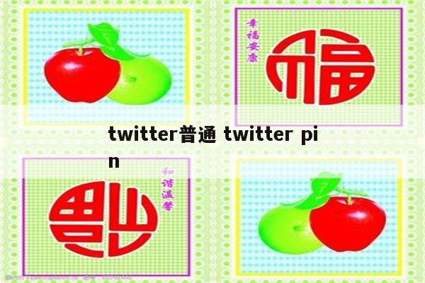 twitter普通 twitter pin