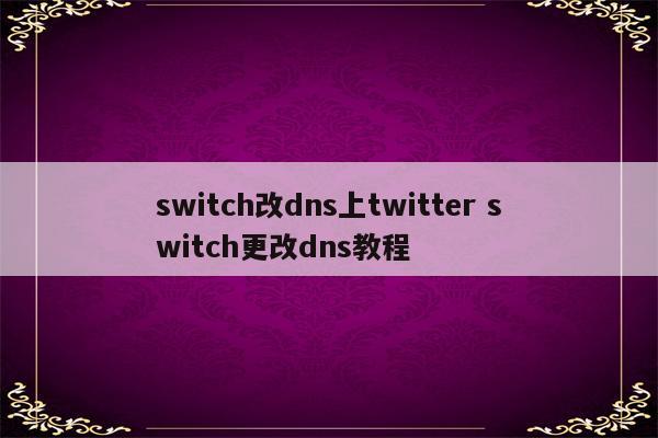 switch改dns上twitter switch更改dns教程
