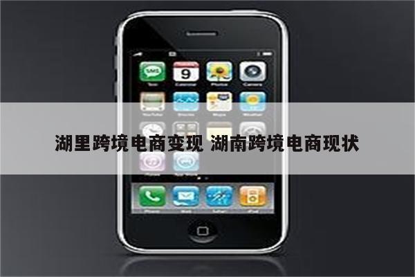 湖里跨境电商变现 湖南跨境电商现状