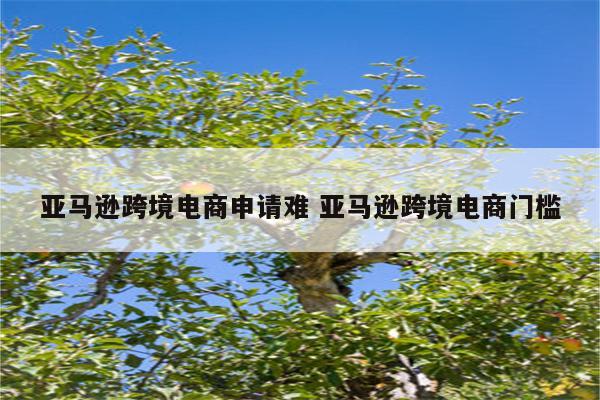 亚马逊跨境电商申请难 亚马逊跨境电商门槛