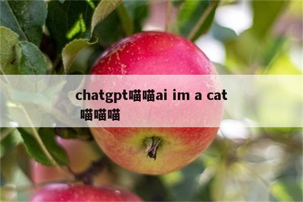 chatgpt喵喵ai im a cat 喵喵喵