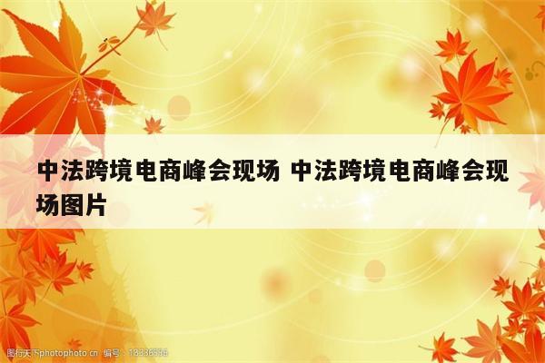 中法跨境电商峰会现场 中法跨境电商峰会现场图片