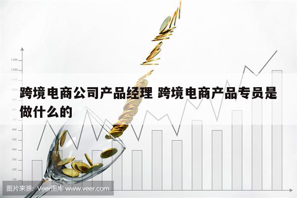 跨境电商公司产品经理 跨境电商产品专员是做什么的