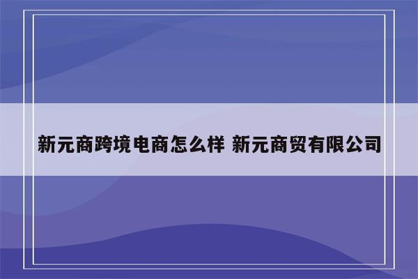 新元商跨境电商怎么样 新元商贸有限公司