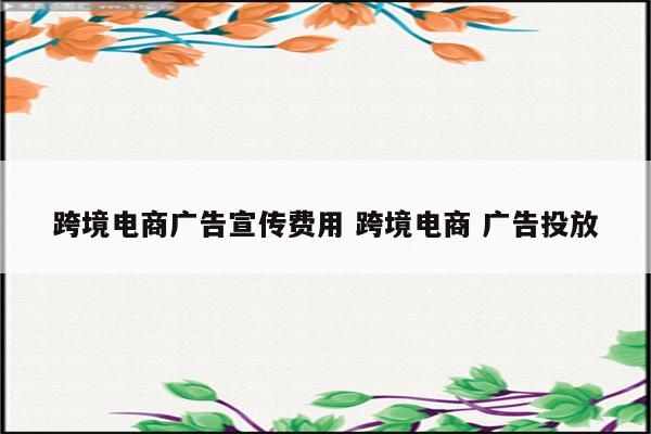 跨境电商广告宣传费用 跨境电商 广告投放