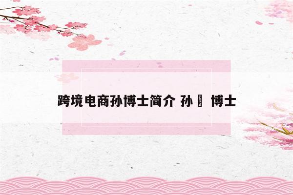 跨境电商孙博士简介 孙璥 博士