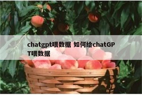 chatgpt喂数据 如何给chatGPT喂数据