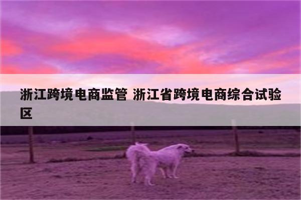 浙江跨境电商监管 浙江省跨境电商综合试验区