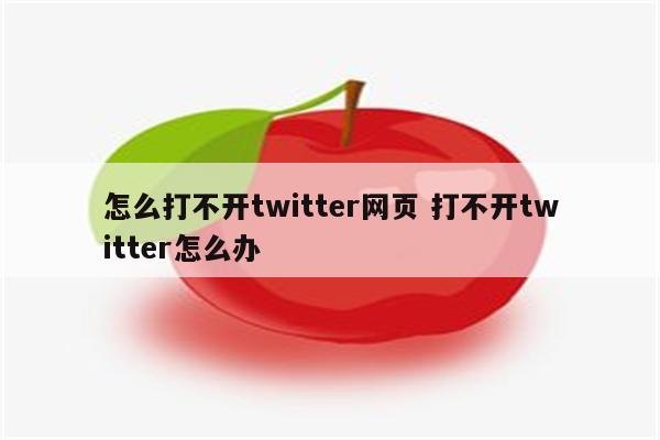 怎么打不开twitter网页 打不开twitter怎么办