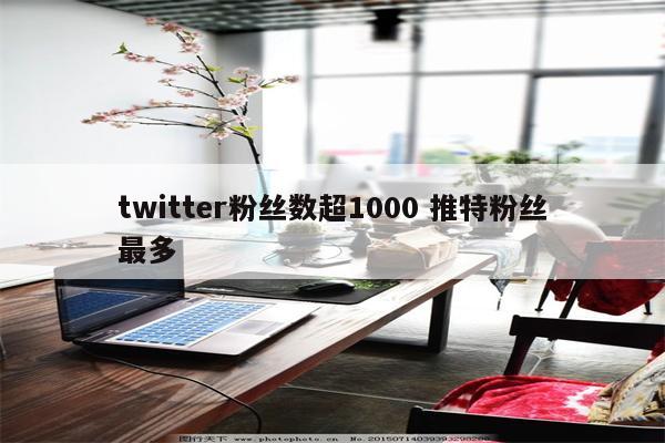 twitter粉丝数超1000 推特粉丝最多