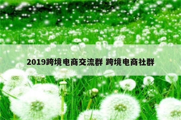 2019跨境电商交流群 跨境电商社群