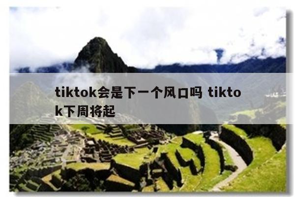 tiktok会是下一个风口吗 tiktok下周将起