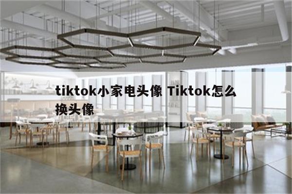 tiktok小家电头像 Tiktok怎么换头像