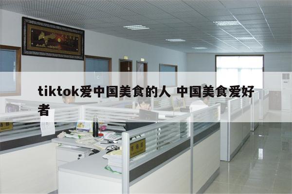 tiktok爱中国美食的人 中国美食爱好者