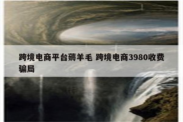 跨境电商平台薅羊毛 跨境电商3980收费骗局