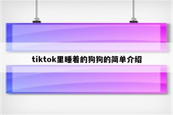 tiktok里睡着的狗狗的简单介绍