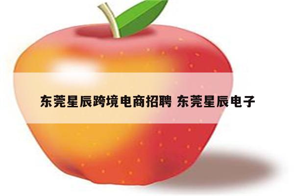 东莞星辰跨境电商招聘 东莞星辰电子