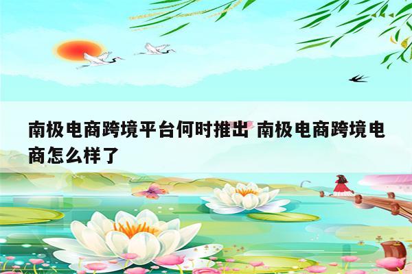 南极电商跨境平台何时推出 南极电商跨境电商怎么样了