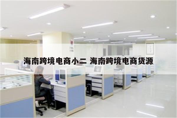 海南跨境电商小二 海南跨境电商货源