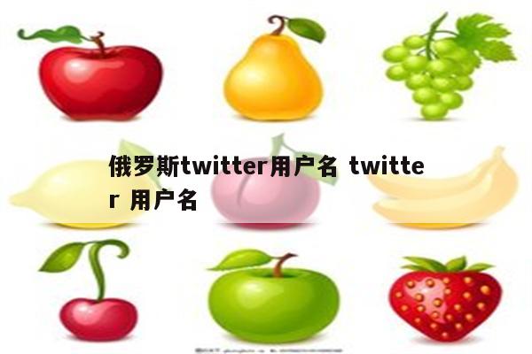 俄罗斯twitter用户名 twitter 用户名
