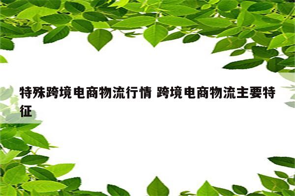 特殊跨境电商物流行情 跨境电商物流主要特征