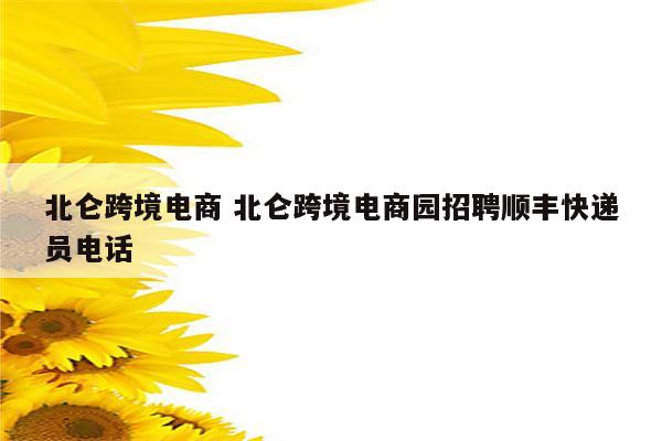 北仑跨境电商 北仑跨境电商园招聘顺丰快递员电话