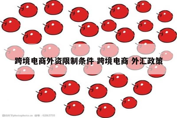 跨境电商外资限制条件 跨境电商 外汇政策