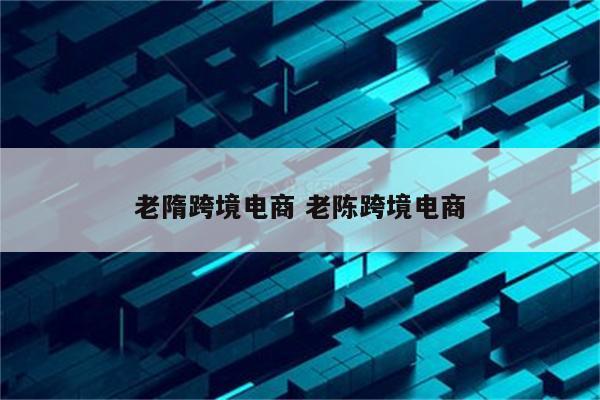 老隋跨境电商 老陈跨境电商