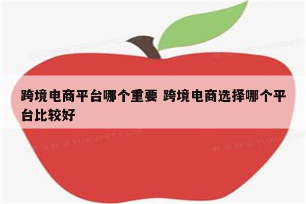 跨境电商平台哪个重要 跨境电商选择哪个平台比较好