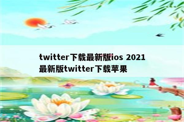 twitter下载最新版ios 2021最新版twitter下载苹果
