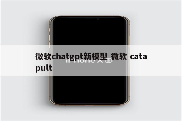 微软chatgpt新模型 微软 catapult