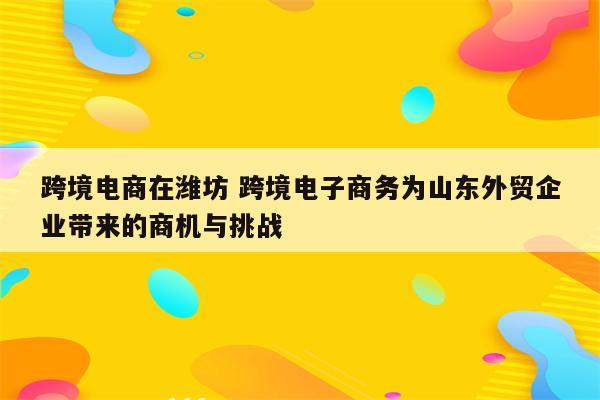 跨境电商在潍坊 跨境电子商务为山东外贸企业带来的商机与挑战