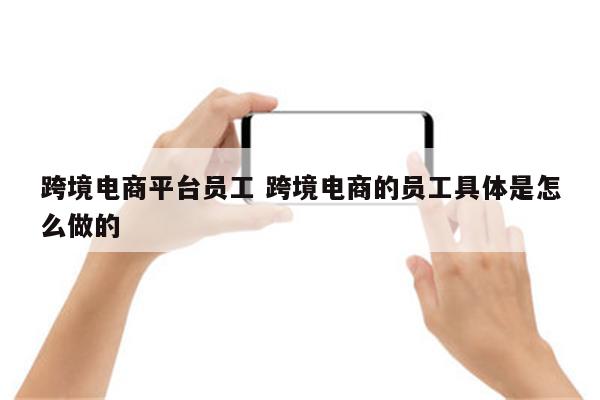 跨境电商平台员工 跨境电商的员工具体是怎么做的