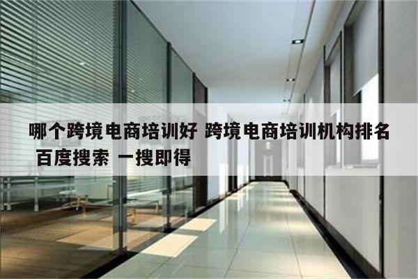 哪个跨境电商培训好 跨境电商培训机构排名 百度搜索 一搜即得