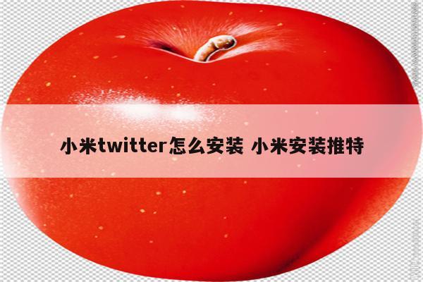 小米twitter怎么安装 小米安装推特